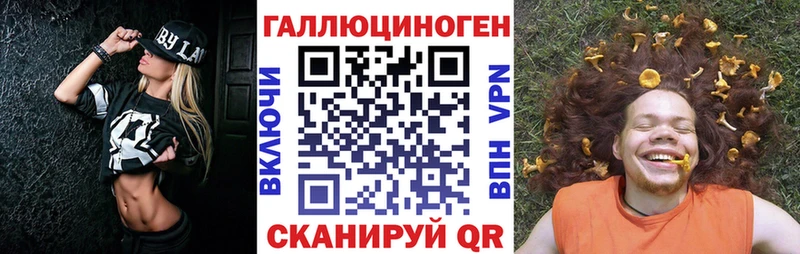 Купить где  Реж  Псилоцибиновые грибы Psilocybine cubensis 